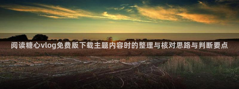 糖心vlog在线播放:阅读糖心vlog免费版下载主题内容时的整理与核对思路与判断要点