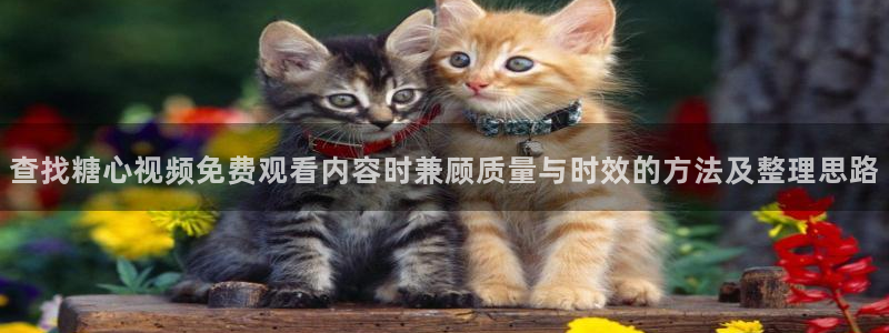 糖心原创：查找糖心视频免费观看内容时兼顾质量与时效的方法及整理思路