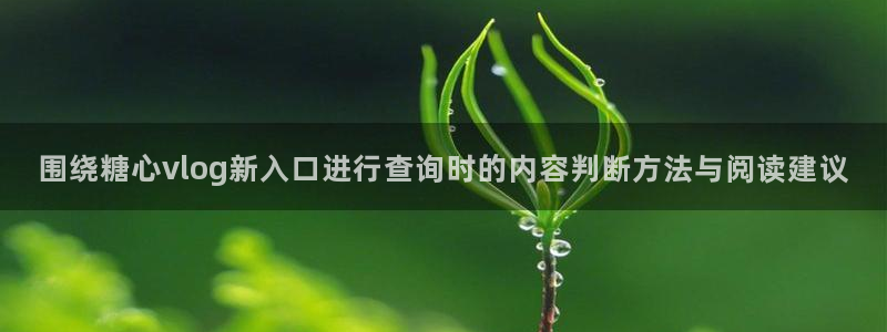 糖心视频网站:围绕糖心vlog新入口进行查询时的内容判断方法与阅读建议