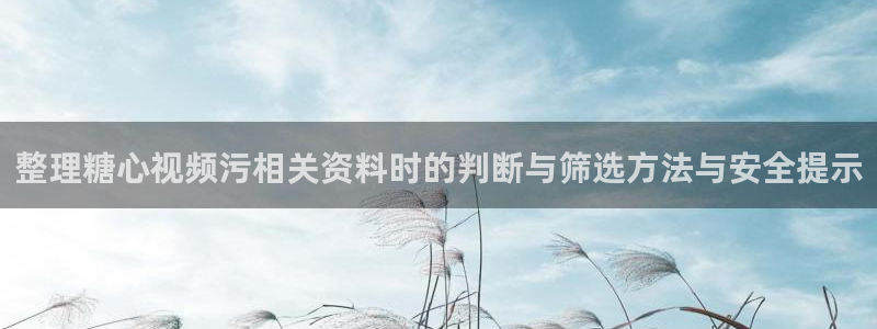 糖心网页版:整理糖心视频污相关资料时的判断与筛选方法与安全提示