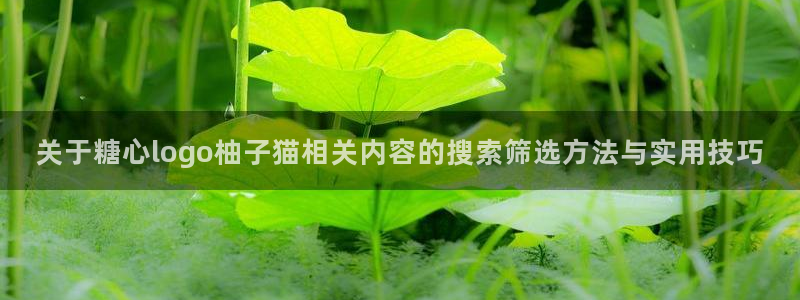 糖心短视频：关于糖心logo柚子猫相关内容的搜索筛选方法与实用技巧