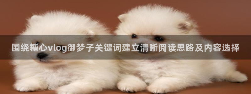 糖心免费版：围绕糖心vlog御梦子关键词建立清晰阅读思路及内容选择