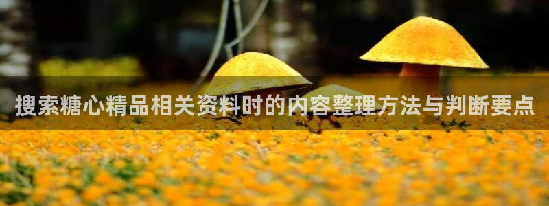 糖心vlog传媒：搜索糖心精品相关资料时的内容整理方法与判断要点