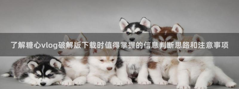 苏小涵糖心视频:了解糖心vlog破解版下载时值得掌握的信息判断思路和注意事项