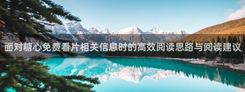 糖心vloge：面对糖心免费看片相关信息时的高效阅读思路与阅读建议