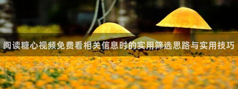 糖心vlog在线观看免费高清：阅读糖心视频免费看相关信息时的实用筛选思路与实用技巧