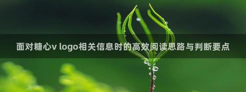 糖心vlog免费视频:面对糖心v logo相关信息时的高效阅读思路与判断要点