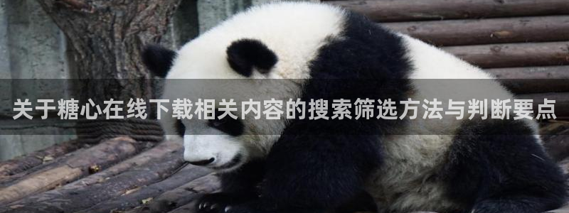 糖心vlog破解版：关于糖心在线下载相关内容的搜索筛选方法与判断要点